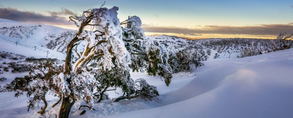 18 20160805  DSC1863 989 01