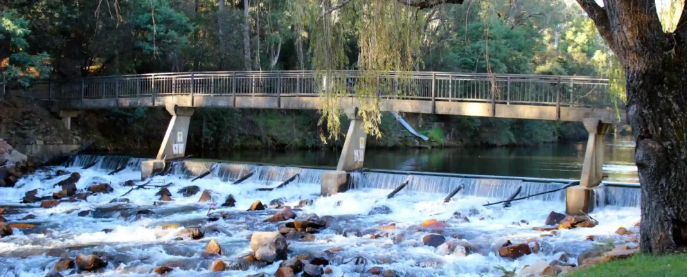 CherryWalkBright ezgif.com png to webp converter