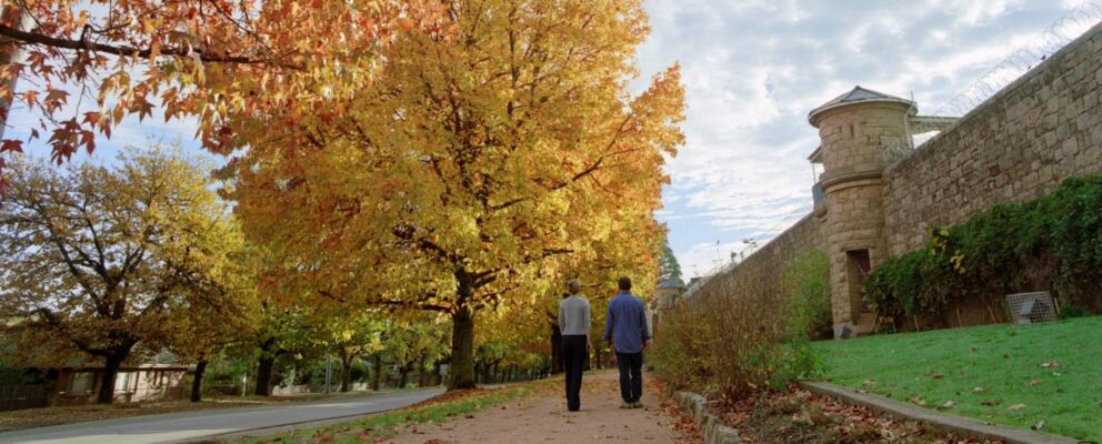 VIC High Country Beechworth