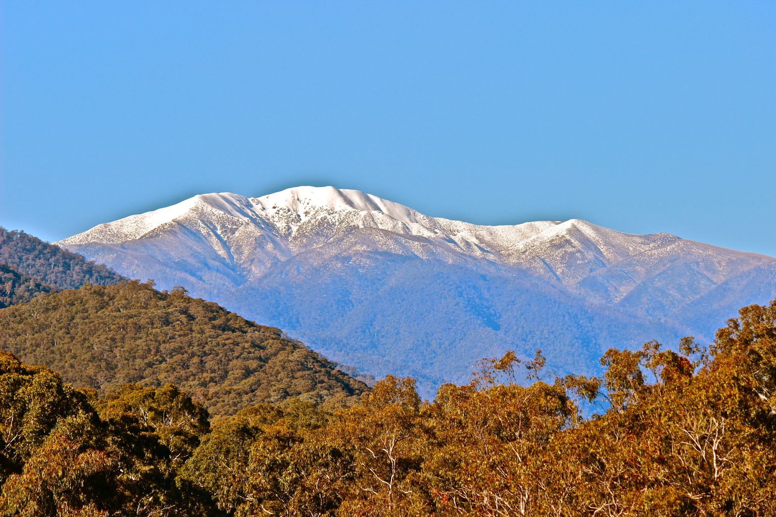 Alpine Valley Getaways and Hoys Snow Gear Giveaway Terms and Conditions