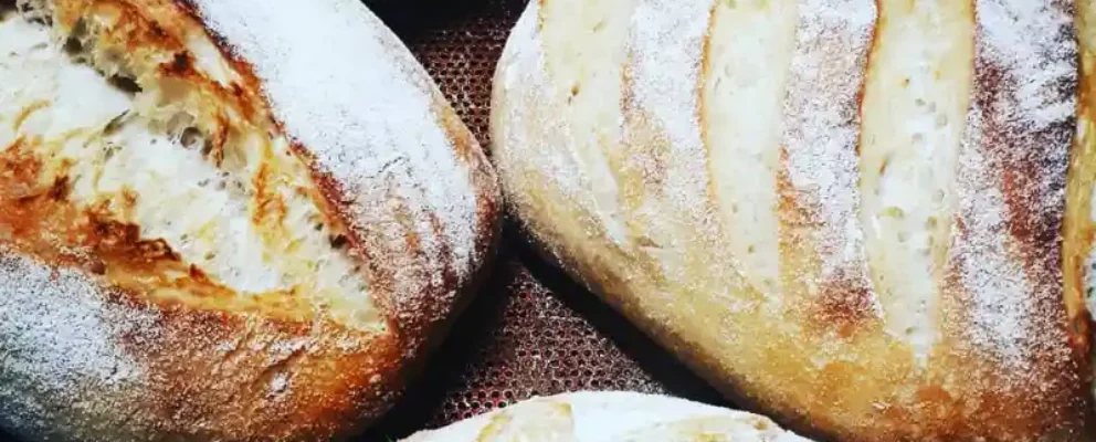 Untitleddesign1991 ezgif.com png to webp converter