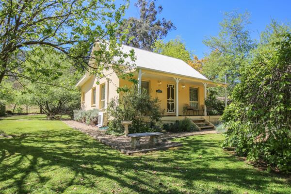 8157ae23 585f 1f4c 9c80 21bfe105ea55.jpg