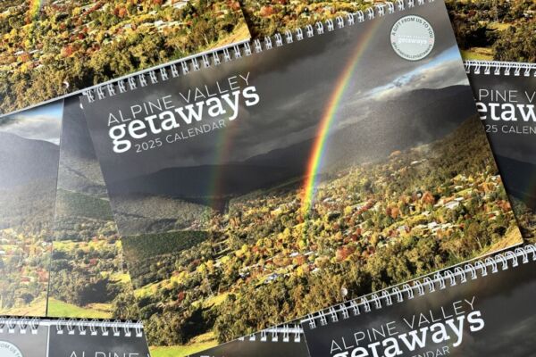 AVG 2025 Calendar