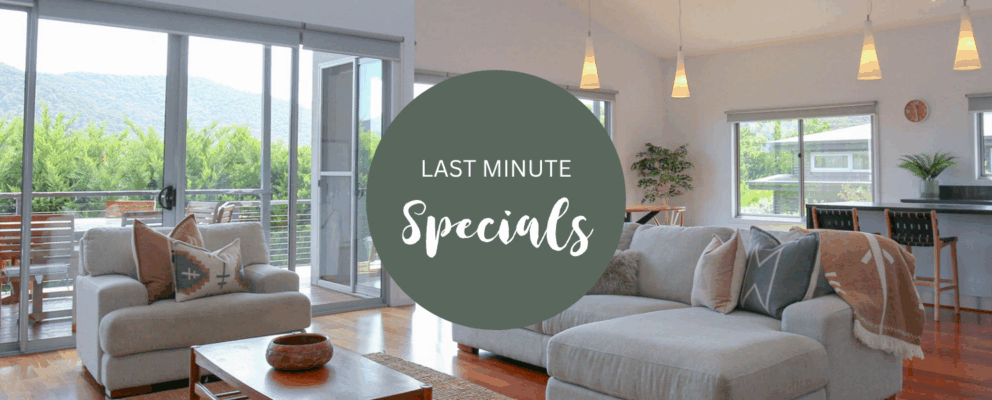 Last Minute HOT Deals Website Banner (5)