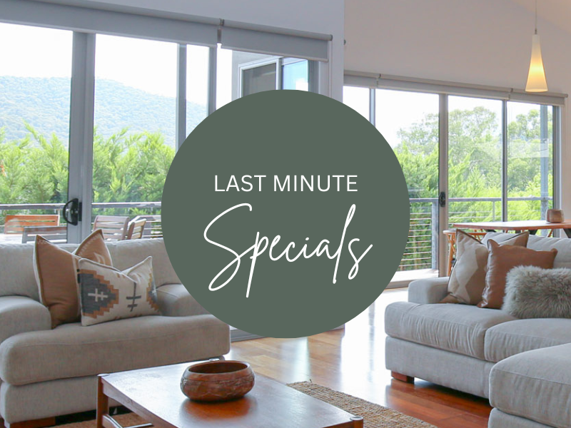 Last Minute Specials Thumbnail (800 x 600 px)