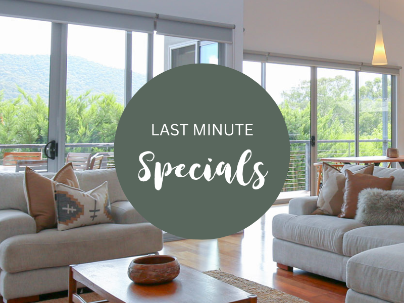 Last Minute Specials Thumbnail (800 x 600 px)