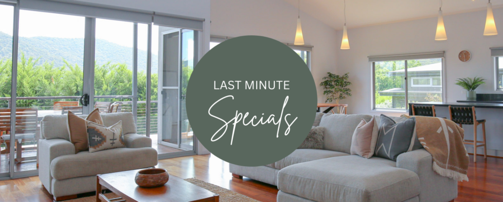 Last Minute Specials Website Banner