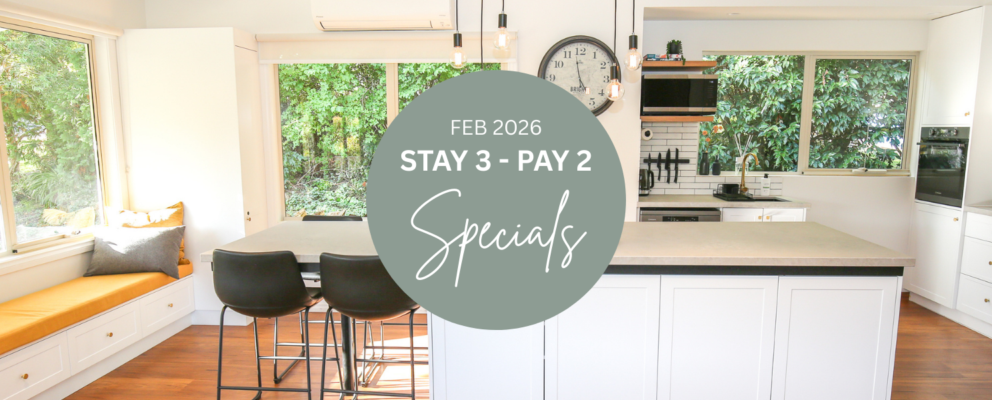 FEB 2026 Stay 3 Pay 2 Specials Website Banner