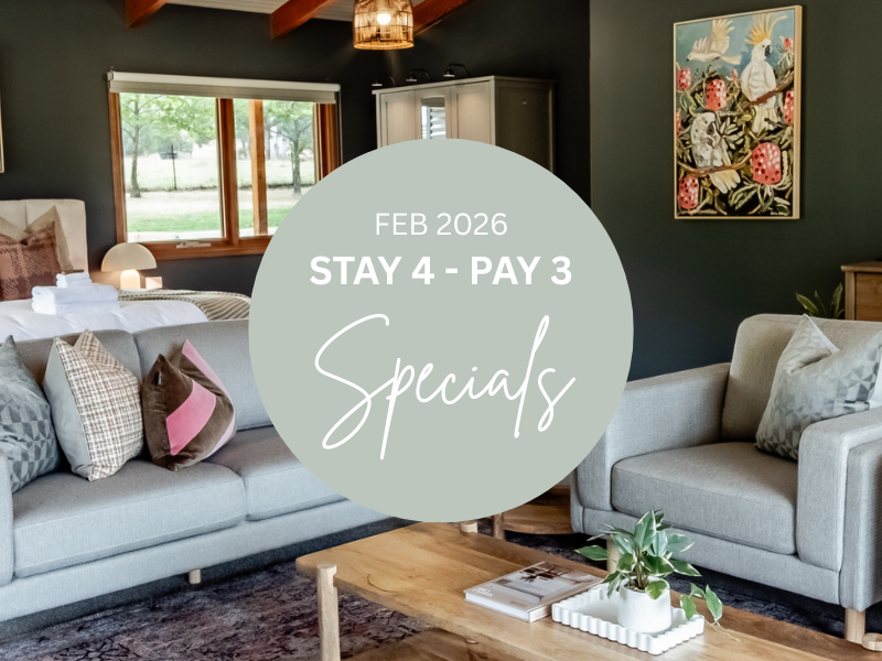 FEB 2026 Stay 4 Pay 3 Specials Thumbnail (800 x 600 px)
