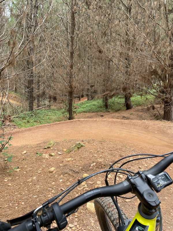 Family friendly accommodation in Bright with space to relax