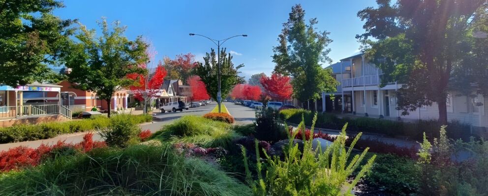 Untitled design(195)