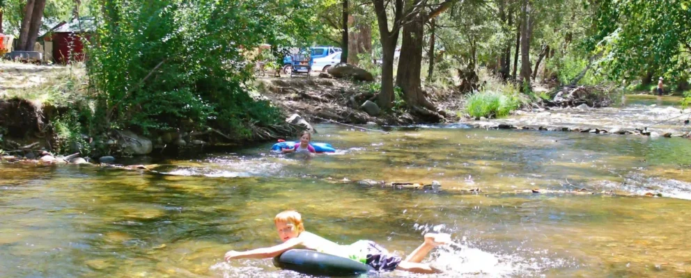 Untitleddesign199 ezgif.com png to webp converter (1)