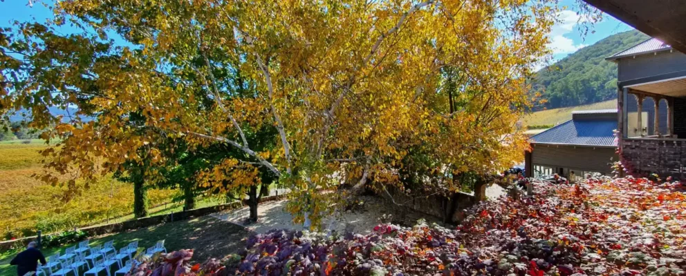 Untitleddesign202 ezgif.com png to webp converter (2)