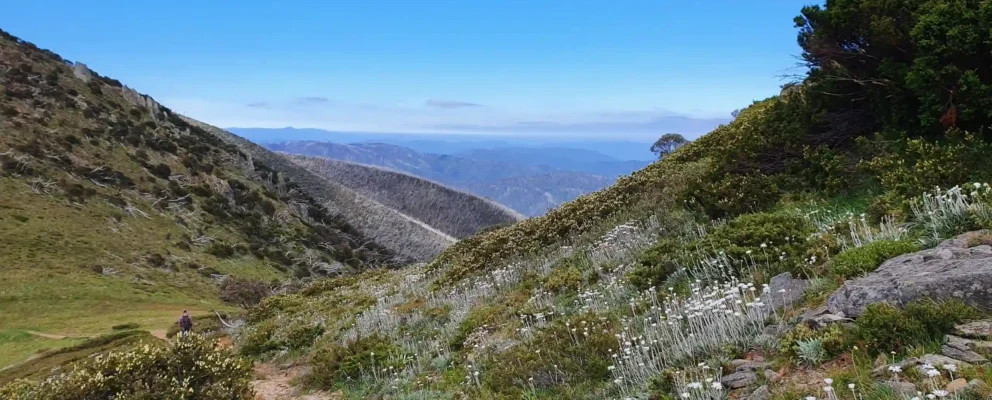 Walk ezgif.com png to webp converter