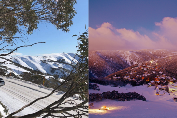 Falls Creek Mount Hotham Split