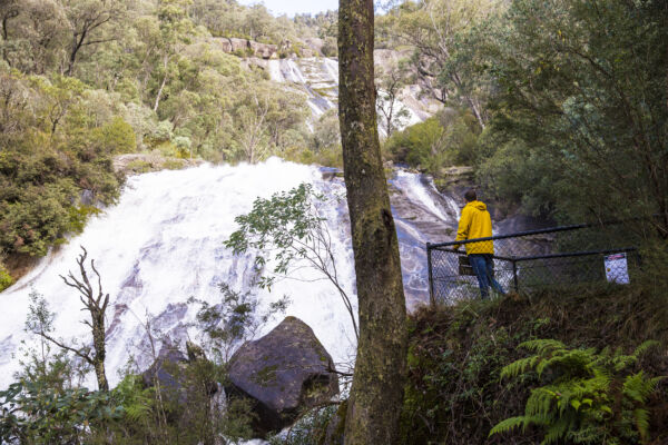 Mount Buffalo 143929