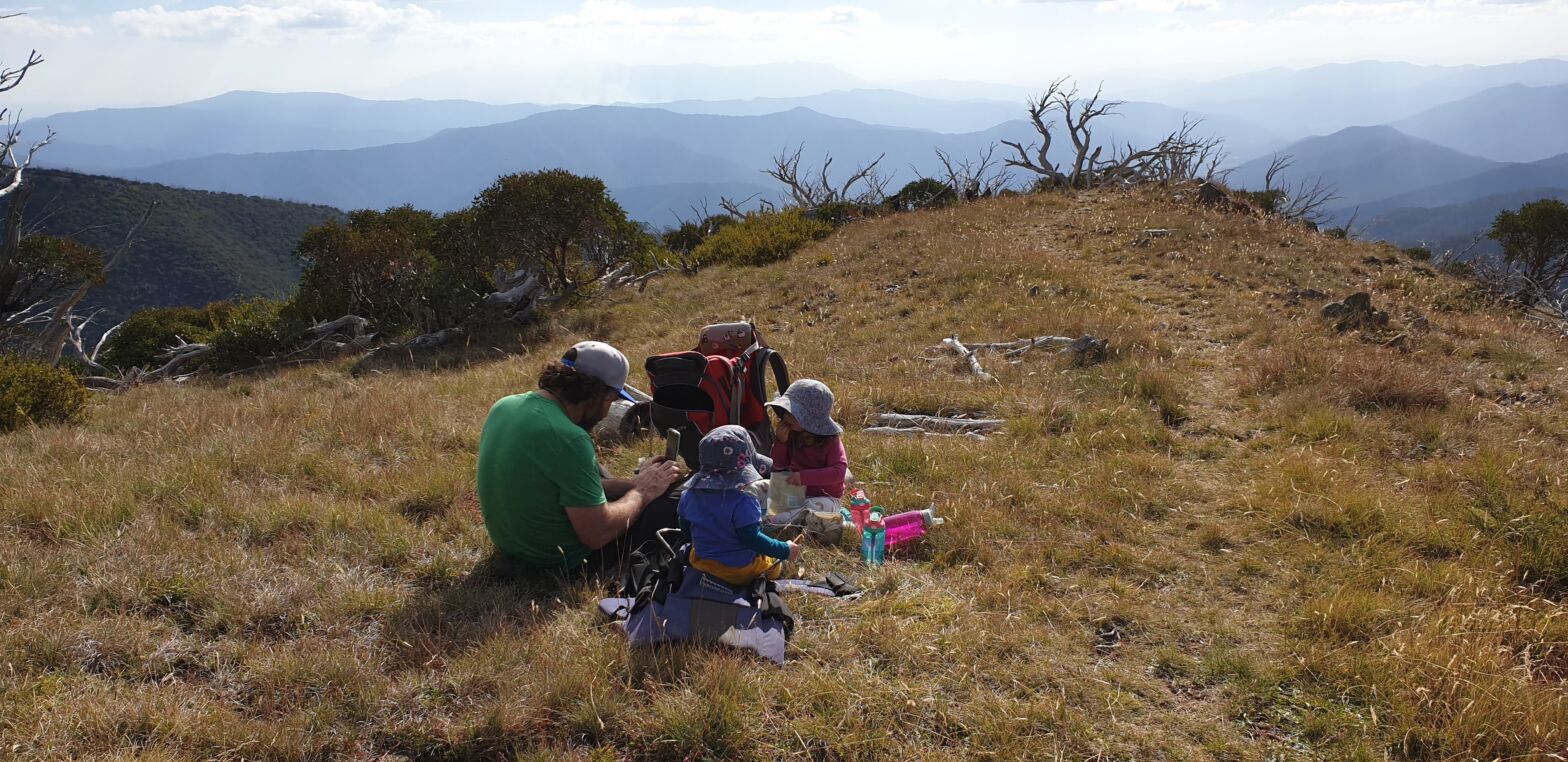 Family Alpine Picnic