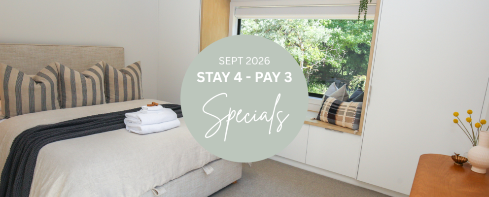 2026 Stay 4 Pay 3 Specials Website Banner (5)