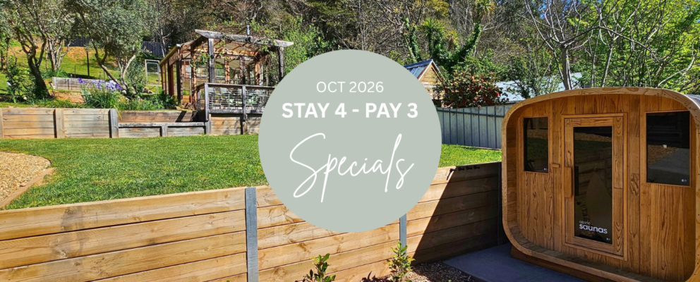 2026 Stay 4 Pay 3 Specials Alpine Valley Getaways Website